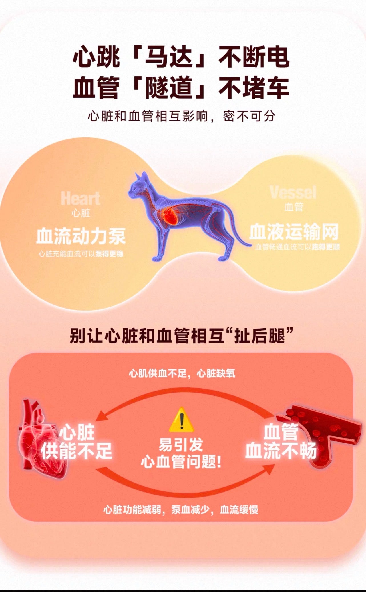 OriPet Bright Pegapet D+ Coenzyme Q10 Fish Oil Soft Chews 0.8g*20 (For Cats and Dogs)